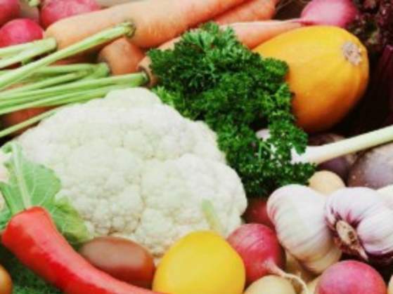 Sustainable Gardening Classes