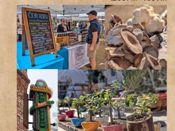 Buzzy Bee Market