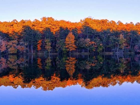 Fall Foliage Tours