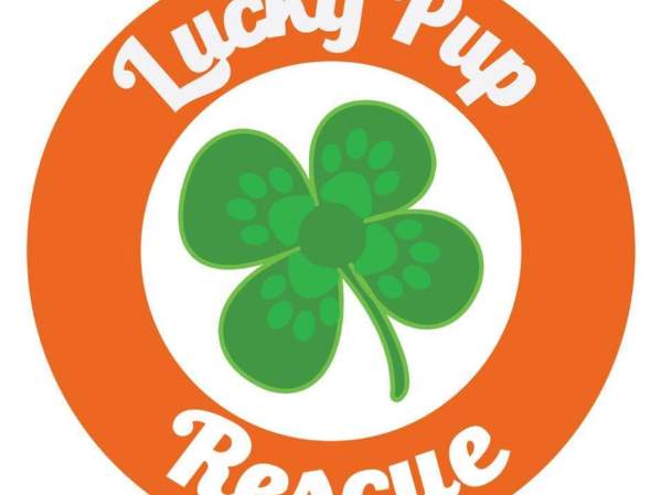 Barks & Brews w/ Lucky Pup Dg Rescue