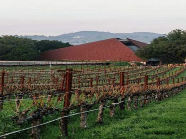 Chappellet Wine Dinner