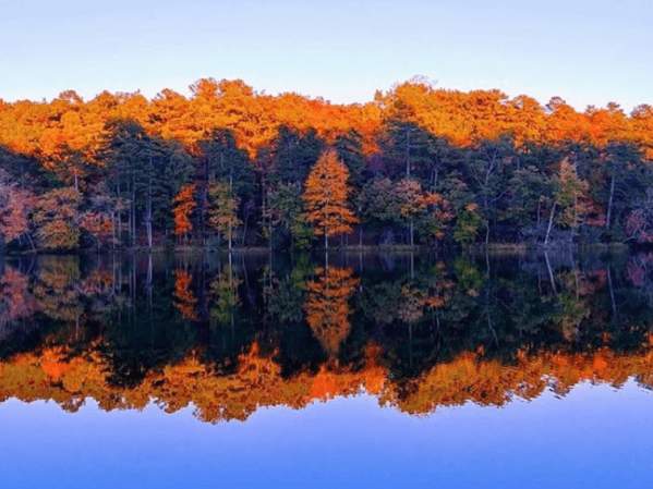 Fall Foliage Tours