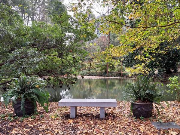 Urban Arboretum Tours