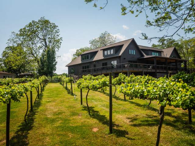 City Scape Winery