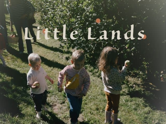 Little Landed Little Lands