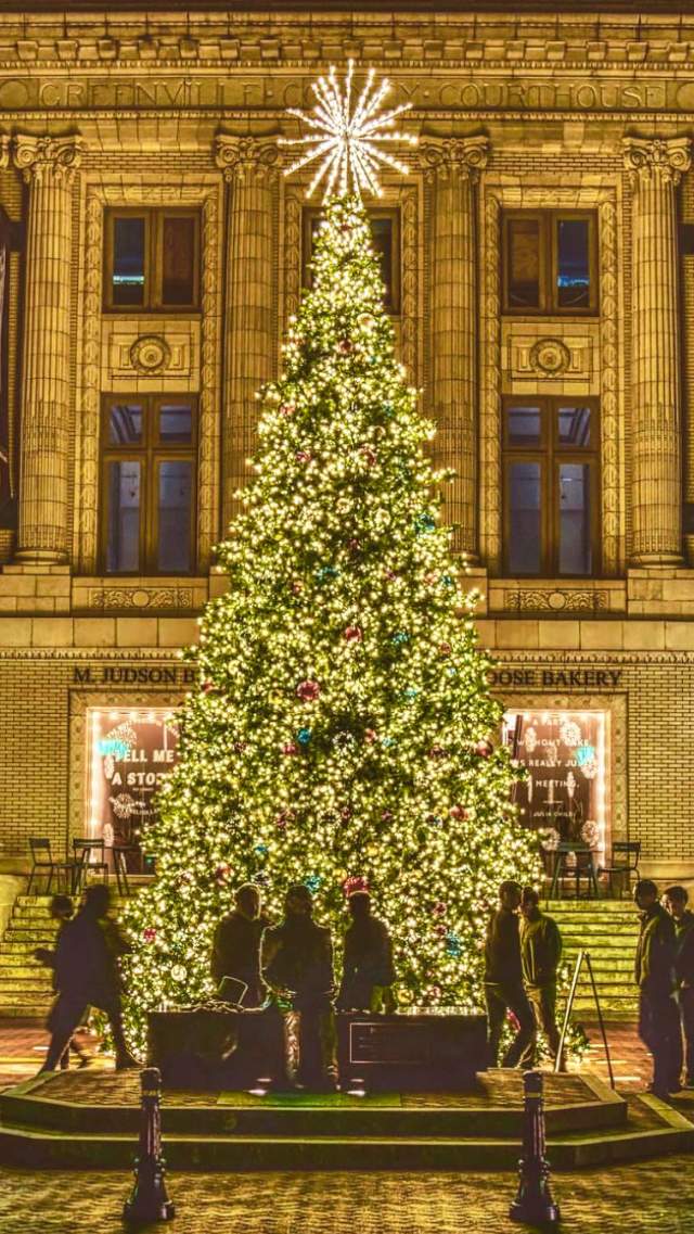 People admiring the Downtown Christmas Tree