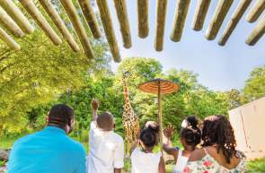 This open-air experience is all about family, and you'll get to know Greenville's animal family quite well by the end of your tour: Whether it's Siamang monkey mates Oscar and Ella, who became the proud parents of a baby boy, Arthur, Jr., in January 2017, or our Masai giraffe family: Autumn, Miles, and new baby girl Kiden! (Born January 2018) Did you know any one of the zoo's three Aldabra tortoises can live to be 100? The lone male tortoise, Bubba, loves to get his neck scratched!