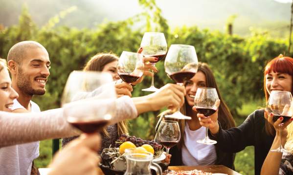 Friends Toast to One Another at Vineyard