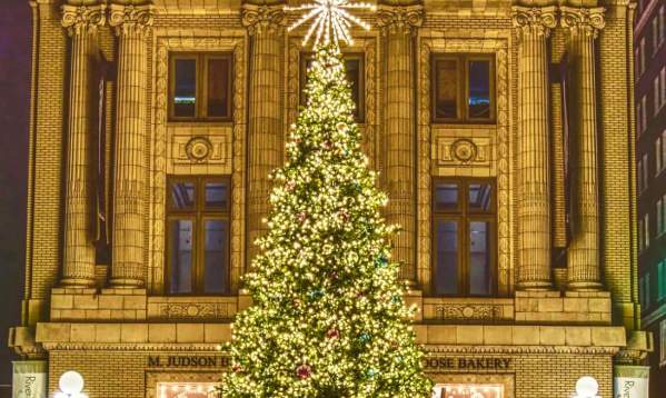 People admiring the Downtown Christmas Tree