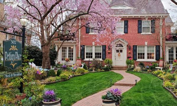 Pettigru Place Bed and Breakfast viewed from the street in spring, surrounded by lush greenery and vibrant pink blossoms on the lawn.