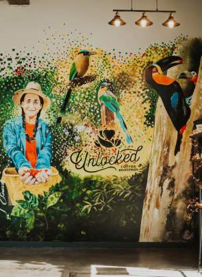 An interior mural showcasing coffee beans and birds at Unlocked Coffee Roasters in Greenville, SC.