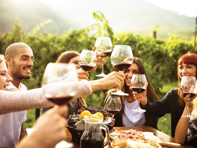 Friends Toast to One Another at Vineyard