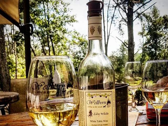 Wine bottle and glasses sitting on rustic table at Wellborn Winery