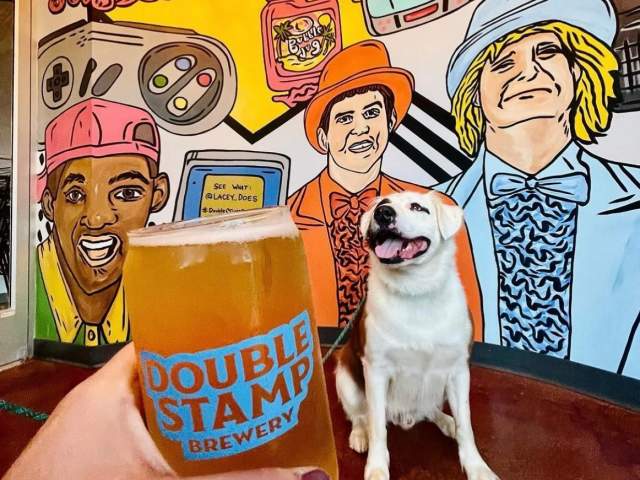 Dog and woman with Beer at Double Stamp Brewery