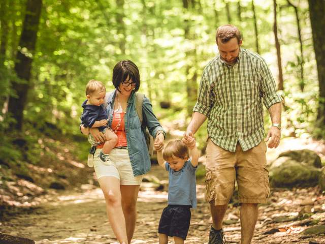 A family of 4 hikes through the woods on an easy trail at Paris Mountain State Park.