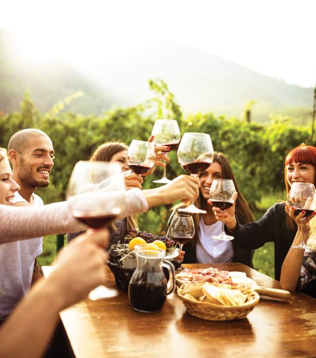 Friends Toast to One Another at Vineyard