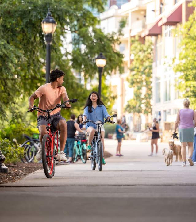 Two people ride bicycles down a sunny city path lined with green trees and tall buildings.