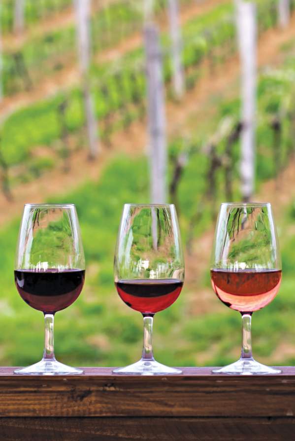 Glasses of Wine sitting on railing at a Vineyard