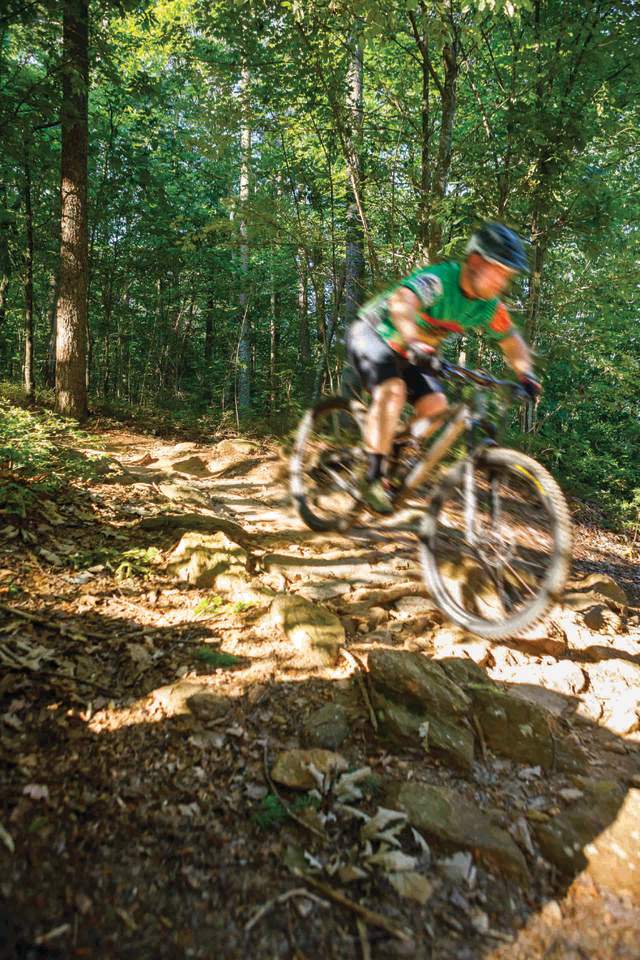 A mountain bikers speeds along a path at Paris Mountain State Park.