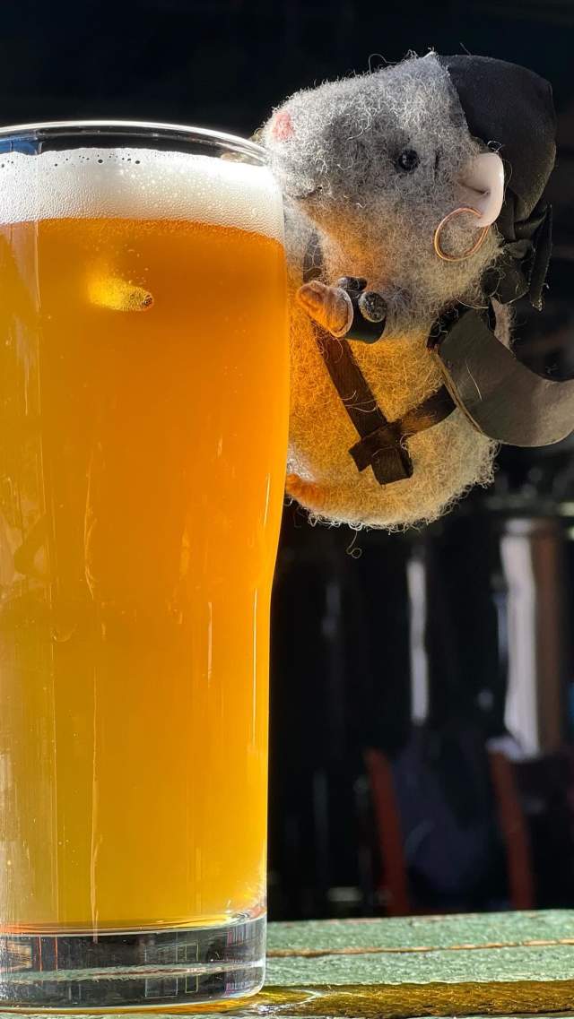 Brewmiceter Hops Hunt at Fireforge Beer