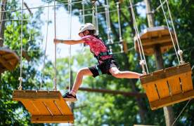 DTN - PPS - Attractions & Tours - Flying Rabbit Adventures