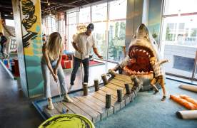 Group Therapy is a pub and playground offering experiential entertainment and the first and only indoor venue to offer a cocktail bar with a full food menu, an 18 hole wacky mini golf course, ice curling, ping pong, axe throwing, and tons of backyard games.