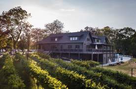 City Scape Winery and its vineyards bask in the sunshine in Pelzer, SC.
