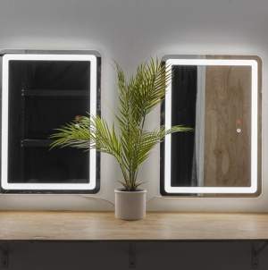 Two light mirrors in the getting ready area at WhiteWall Studios and a plant between them on a wooden counter.