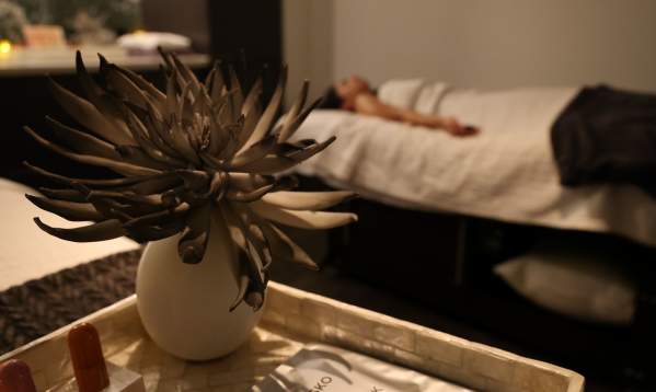 Close up of succulent plant in a bud vase in a spa setting with a person in the background on a massage table.