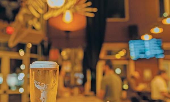 A craft beer sits on a wooden counter in The Whale GVL in downtown Greenville, SC.