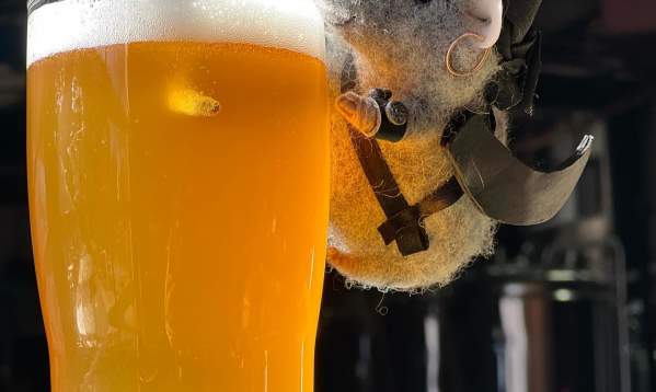 Brewmiceter Hops Hunt at Fireforge Beer