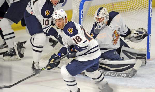 The Greenville Swamp Rabbits playing on their home ice at the Bon Secours Wellness Arena