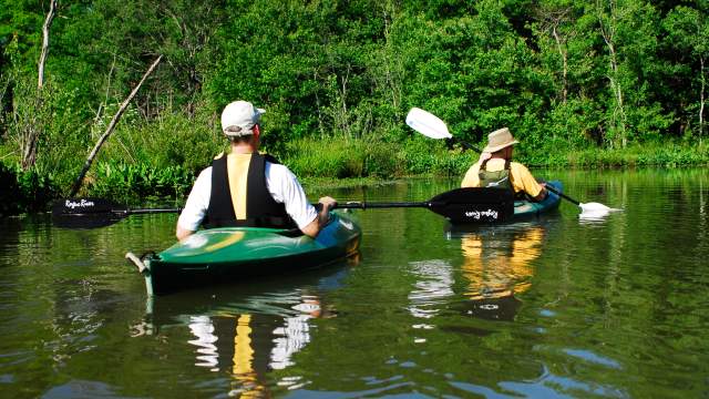 People Paddling Down Lake Cunningham