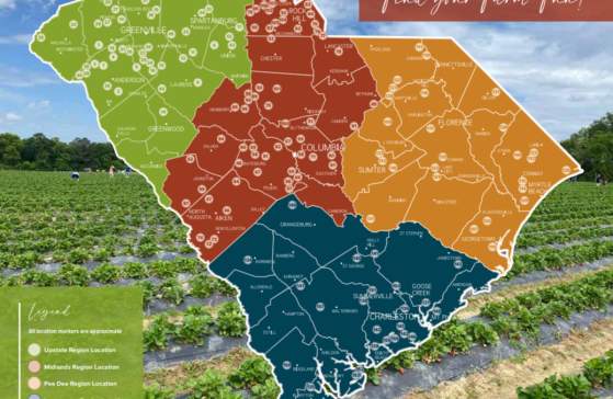 A map of South Carolina divided into regions for the SC Agritourism Trail.