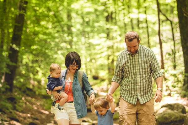 Exploring Nature's Playground: Greenville County State Parks