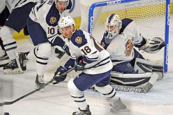 The Greenville Swamp Rabbits playing on their home ice at the Bon Secours Wellness Arena