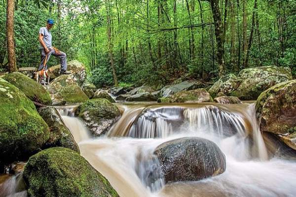 Man walking with dog at small waterfall
