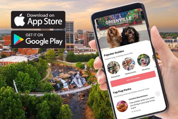 The Good Dogs of GVL app is shown on a phone in someone's hand, promoting the download of the app..