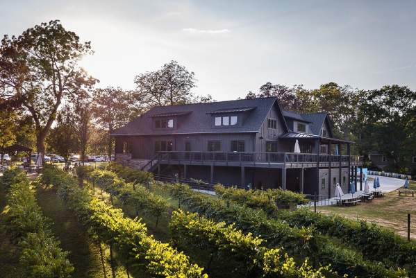 City Scape Winery and its vineyards bask in the sunshine in Pelzer, SC.