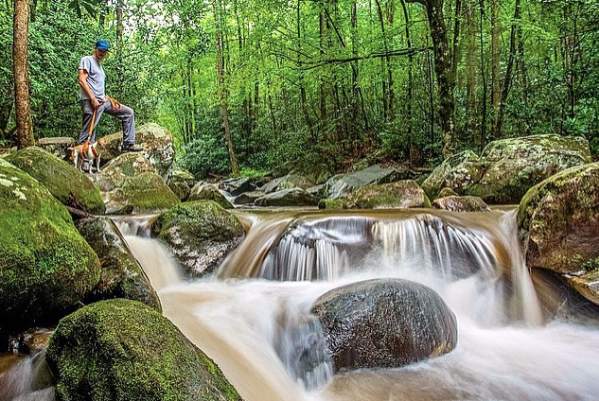 Man walking with dog at small waterfall