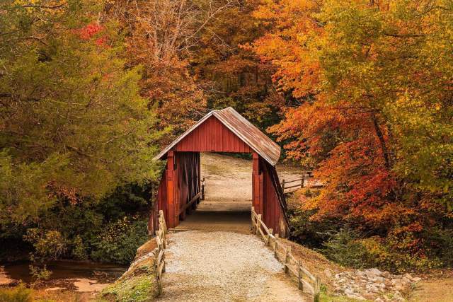 A gravel path leads to a red covered bridge, framed by trees ablaze with autumn colors.