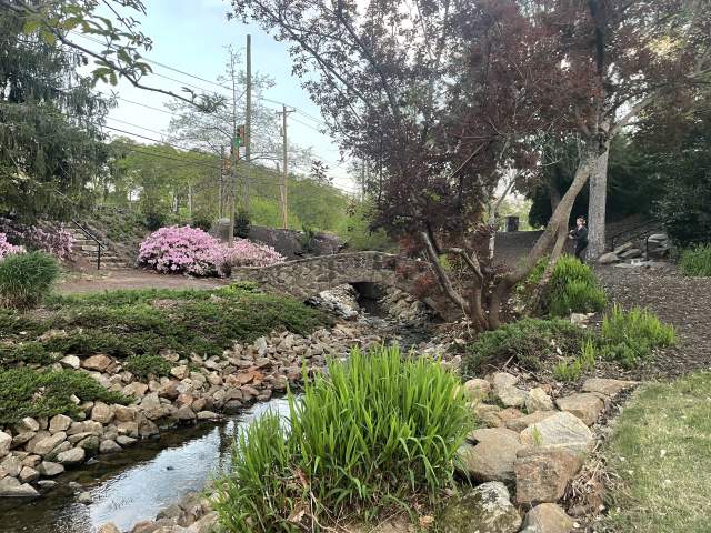 Rock Quarry Garden in the spring with pink blooming bushes, greenery, and a small stream with a rock bridge going over it