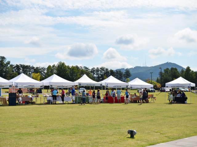 Tents lined up with vendors on a sunny day at the Travelers Rest Farmer's Market.