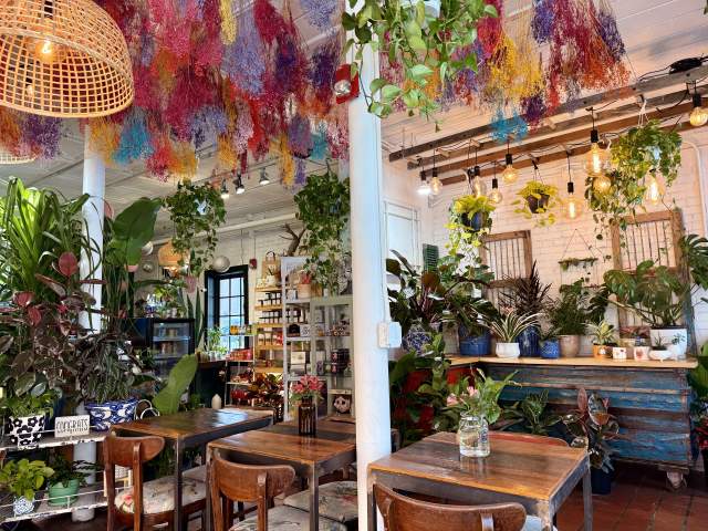 Wooden tables and chairs are set amidst a vibrant indoor garden filled with lush plants and colorful dried flowers hanging from the ceiling, with shelves of goods visible in the background.