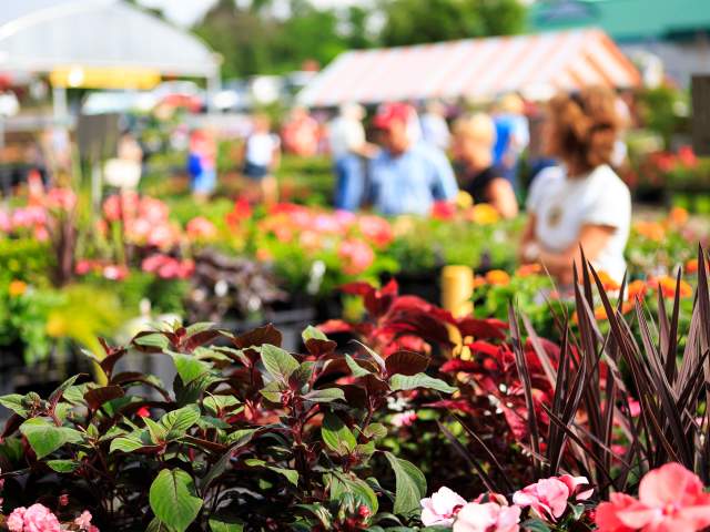 Greenville County is a mecca for locally sourced food. Greenville is also the location of the country's first Slow Food Earth market. Visit local area farmers' markets for the freshest produce, meat, eggs, and more.