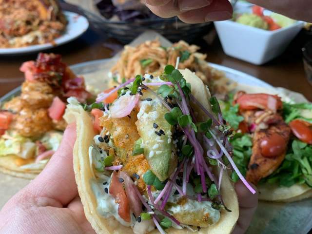 Willy Taco is a chef driven and fresh twist on Mexican Fusion in Spartanburg and Greenville, South Carolina.