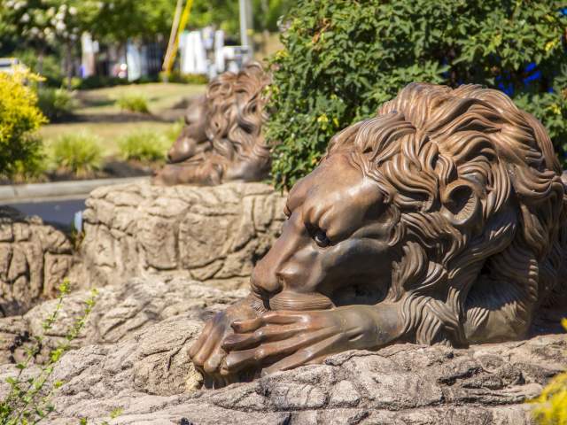 Statue of a Lion also called King of the Jungle