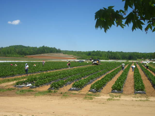 View of Beechwood-Farms