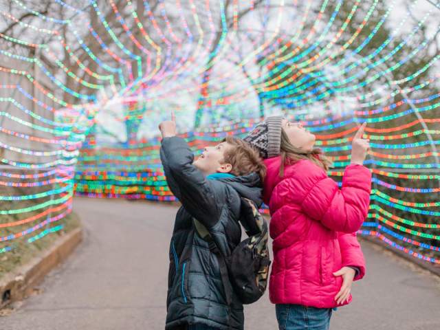 Two kids stare up at the Christmas lights in a tunnel at the Greenville Zoo in Greenville, SC.