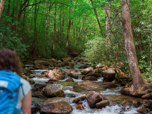 A backpacking hiker looks out over the Middle Saluda River at Jones Gap State Park.